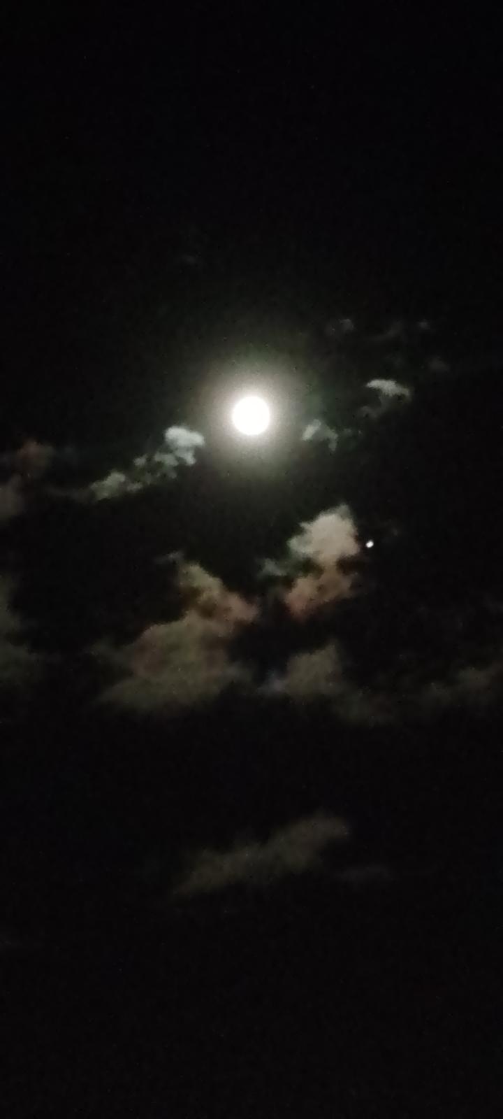 photo-57608.jpg?_r=1449852953