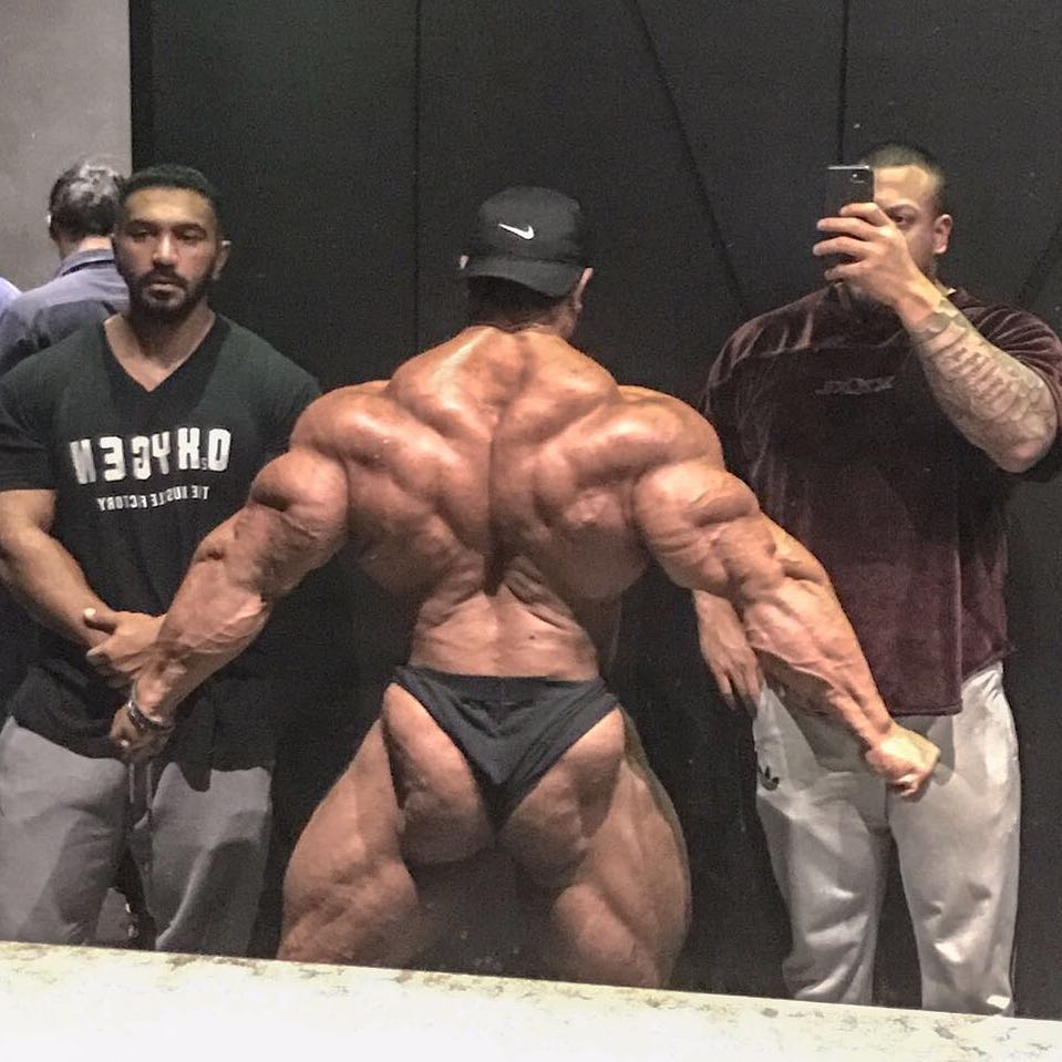 Roelly Winklaar спина