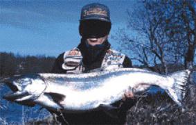 fish.jpg