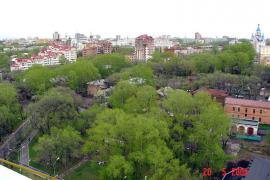 800_2511.jpg
