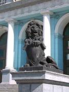 iblock_content_photo2_267_lion0.jpg
