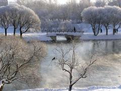 nature098_____.jpg