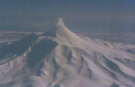 IMG5.JPG