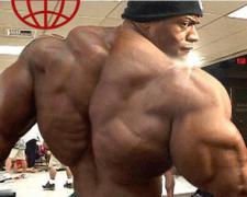 will_harris_back2.jpg