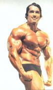 Arnold_Schwarzenegger.jpg