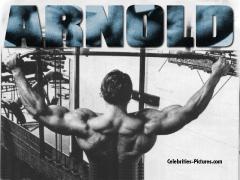 arnold2.jpg