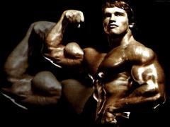 arnold19.jpg