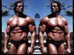 arnold23.jpg