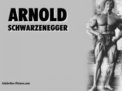arnold3.jpg