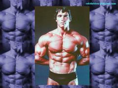arnold4.jpg