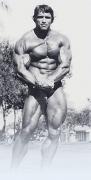 schwarzeneggerh.jpg