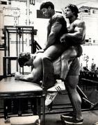 Arnold0088.jpg