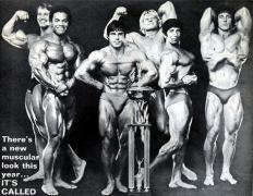sport394.jpg