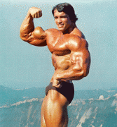 schwarzenegger01.gif