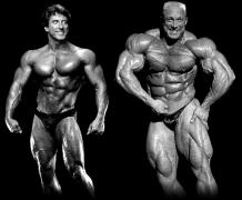 Frank_Zane__1984___Markus_Ruhl__2001_.jpg