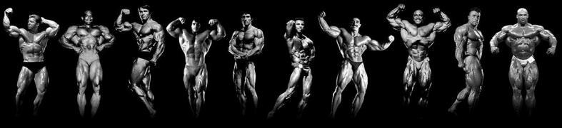 Larry_Scott__Sergio_Oliva__Arnold_Schwarzenegger__Franco_Columbu._Frank_Zane__Chris_Dickerson__Samir_Bannout__Lee_Haney__Dorian_Yates__Ronnie_Coleman.jpg