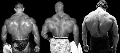 backsDorian_Yates__1995___Ronnie_Coleman__2001___Arnold_Schwarzenegger__1974_.jpg