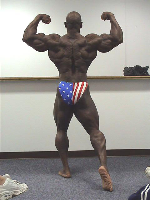 Flex Wheeler спина