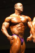 Hungarian_Pro_EB_2003_086.jpg