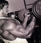 31133Arnold0065_med.jpg