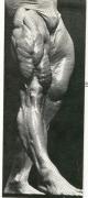 TOM_PLATZ.jpg
