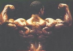 flex_wheeler_ac_1993_back.jpg