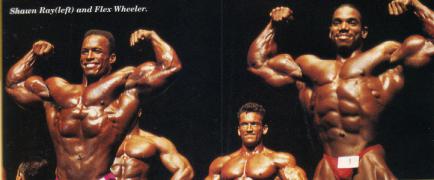 Flex_Wheeler_Mr_Olympia_93_3.jpg