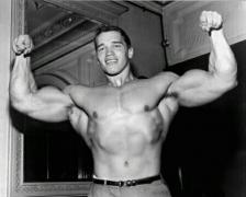 schwarzenegger_arnold_photo_xl_arnold_schwarzenegger_6212696.jpg
