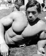 arnold42.jpg
