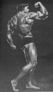42299arny8_med.jpg