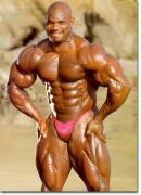 Big_WheelerFlex_02.jpg