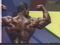 flex_wheeler5.jpg