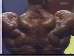 flex_wheeler14.jpg