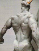jay_cutler3.jpg