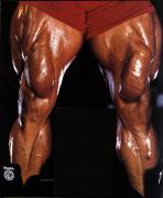 Jay_Cutler_6.jpg