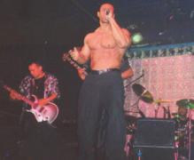 Levrone_Fulblown_04.jpeg