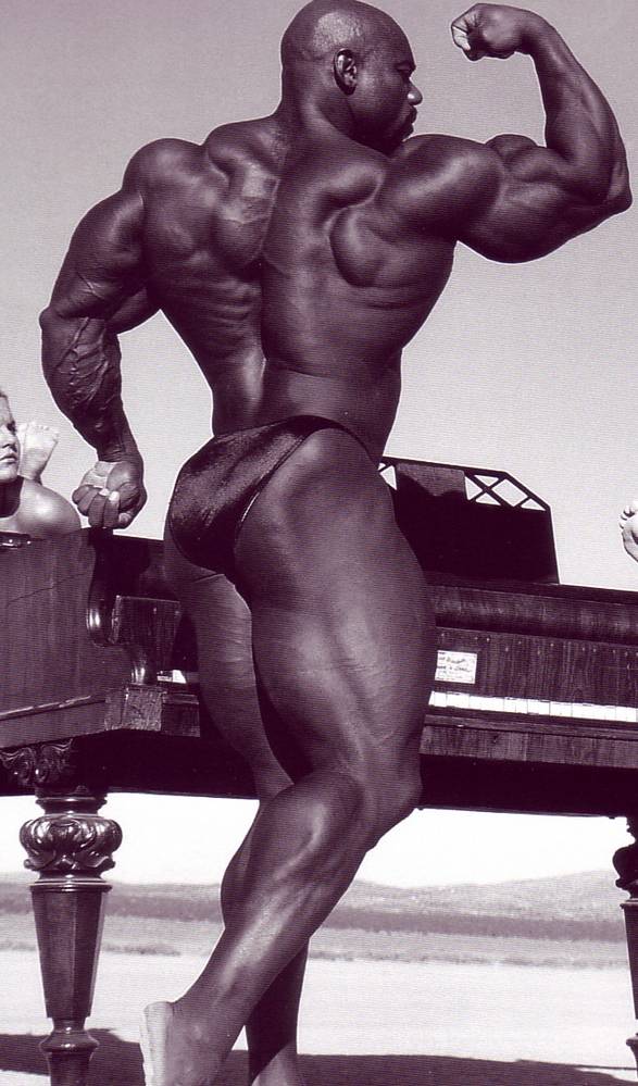 Flex Wheeler спина