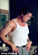 SLY011_1_.jpg
