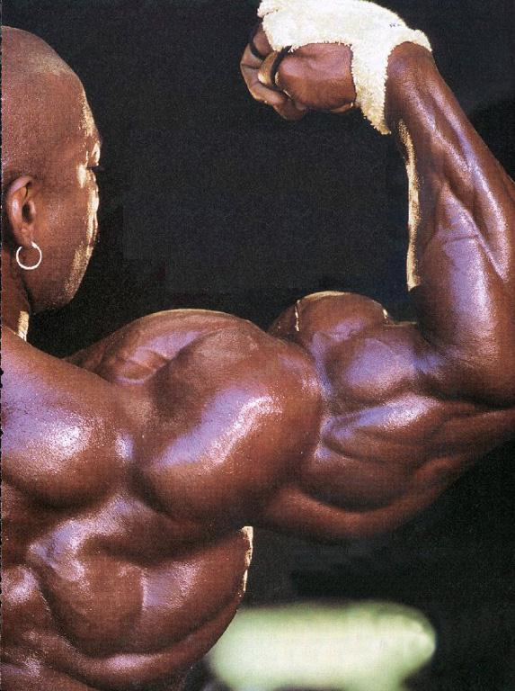 Flex Wheeler 1999