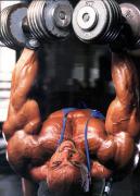 Dennis_James_20.jpg
