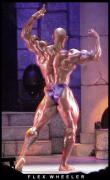 flexwheeler.jpeg