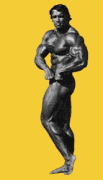 Arnold_Schwarzenegger_Bodybuilding_Poses_Animation.gif