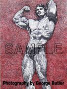 schwarzenegger.jpeg