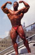 levrone__17__2.JPG