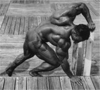 levrone__23__2.JPG