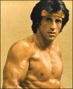 rocky2sly.jpg