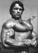 arnold.jpg
