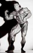 bodybuilding004.jpg