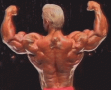 lee_priest_dos_double_biceps_im_04.gif