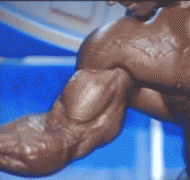 lee_priest_biceps_ac_2005.gif